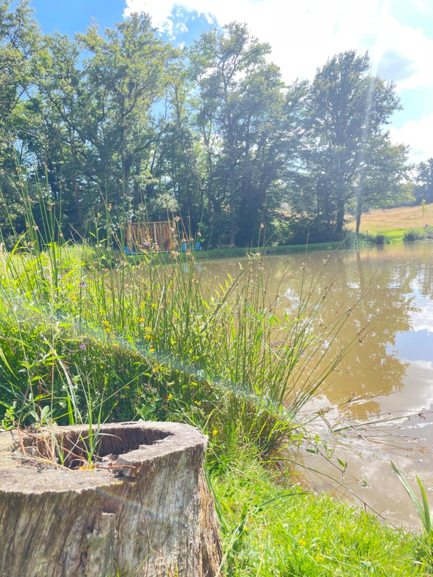 Gite Neuf Avec Jardin, Foret Et Etang Argenton Sur Creuse Exterior foto